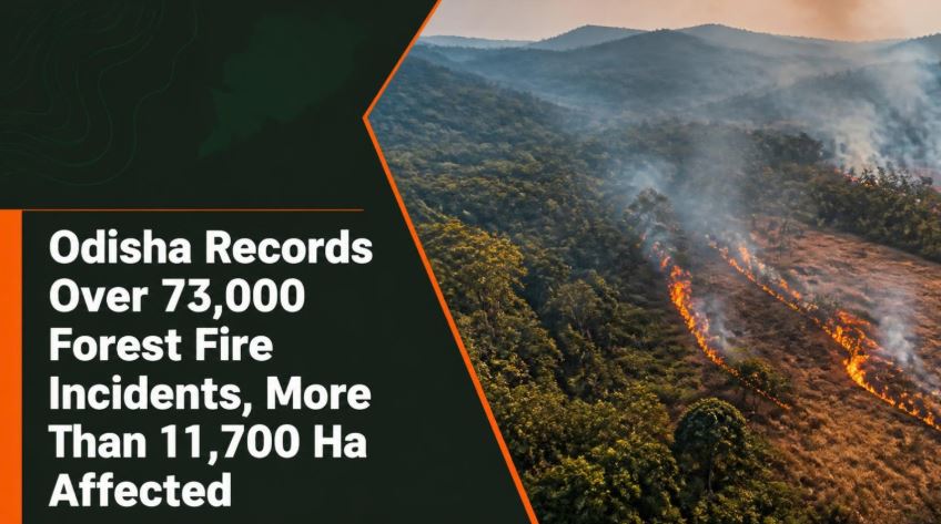 Odisha Records Over 73,000 Forest Fire Incidents, More Than 11,700 Ha Affected